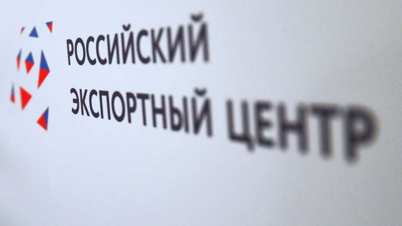 Сессия об особых экономических зонах ОАЭ и России пройдет в Москве